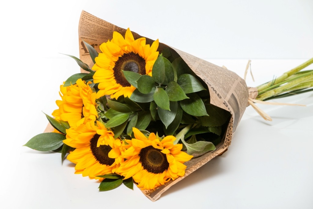 Лучи солнца